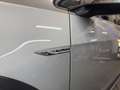 Volkswagen Golf Variant Golf Variant Alltrack 2.0 TDI DSG 4Motion Alltrack - thumbnail 19