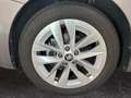 Skoda Octavia Combi Selection 2.0 TDI 150PS/110kW DSG7 2026 |... Grau - thumbnail 25