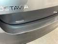 Skoda Octavia Combi Selection 2.0 TDI 150PS/110kW DSG7 2026 |... Grau - thumbnail 22