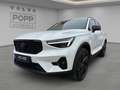 Volvo XC40 B3 Plus Black Edition 20" ACC FHZ H&K LED Weiß - thumbnail 1