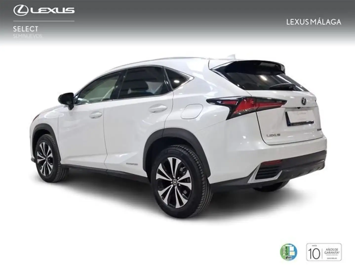 Lexus NX 300 300h Premium 2WD Blanco - 2