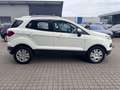 Ford EcoSport Trend 1,0i Ecoboost Klima-Eur6-92Tkm Weiß - thumbnail 8