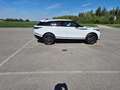 Land Rover Range Rover Velar Range Rover Velar D200 Dynamic SE Weiß - thumbnail 1