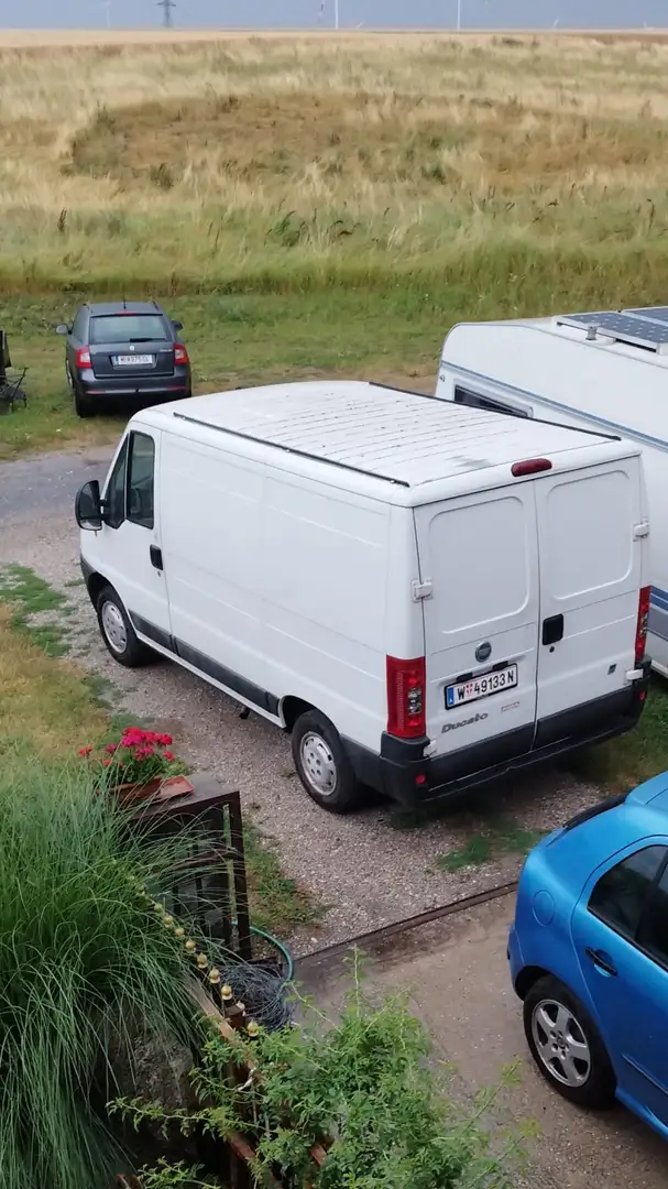 Fiat Ducato Ducato 11 Panorama 2,0 JTD K Panorama Weiß - 1
