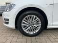 Volkswagen Golf VII Cup 1.2 TSI PDC ZV KLIMA SHZ Wit - thumbnail 9