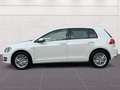 Volkswagen Golf VII Cup 1.2 TSI PDC ZV KLIMA SHZ Wit - thumbnail 6