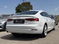 Audi A5 35 TDI 3x S-Line S-Tronic Weiß - thumbnail 7