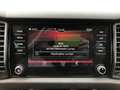 Skoda Kodiaq RS 4x4 176kW 7-Gang DSG Sthz Business Gris - thumbnail 13