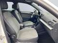 SEAT Tarraco 2.0 TDI 4Drive DSG Xperience *Pano*4xSHZ* Weiß - thumbnail 21