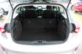 Ford Focus Focus 1.5 ecoblue Business s Plateado - thumbnail 22