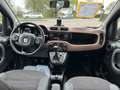 Fiat Panda Cross Trussardi Bruin - thumbnail 9