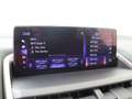 Lexus NX 300h AWD Luxury Line | Panoramadak | Trekhaak |  Elektr Weiß - thumbnail 29