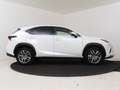 Lexus NX 300h AWD Luxury Line | Panoramadak | Trekhaak |  Elektr Weiß - thumbnail 14