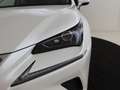 Lexus NX 300h AWD Luxury Line | Panoramadak | Trekhaak |  Elektr Weiß - thumbnail 9