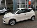 Lancia Ypsilon 1.2 Silver 69 CV Beige - thumbnail 1