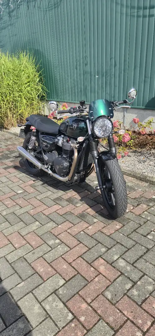 Triumph Speed Twin Speed twin 900 garantie et options Groen - 1