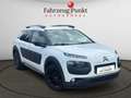 Citroen C4 Cactus Shine 1.2 (110 PS) Garantie, SHZ,Kamera,PDC, Klima Blanc - thumbnail 3