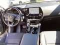 Lexus NX 450h+ 2,5l Plug-in, 4x4 CVT*LP 61.939.-* Grau - thumbnail 7