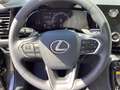 Lexus NX 450h+ 2,5l Plug-in, 4x4 CVT*LP 61.939.-* Grau - thumbnail 10