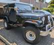 Jeep CJ-7 CJ7 6cil 4.2L Automatisch Transmissie - thumbnail 14