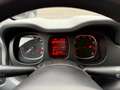 Fiat Panda 1.0 FireFly S&S Hybrid City Cross Bianco - thumbnail 15