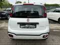 Fiat Panda 1.0 FireFly S&S Hybrid City Cross Bianco - thumbnail 5