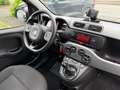 Fiat Panda 1.0 FireFly S&S Hybrid City Cross Bianco - thumbnail 14