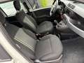 Fiat Panda 1.0 FireFly S&S Hybrid City Cross Bianco - thumbnail 13