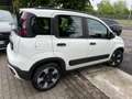 Fiat Panda 1.0 FireFly S&S Hybrid City Cross Bianco - thumbnail 6