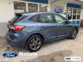 Ford Kuga Kuga 1.5 ecoblue ST-Line 2wd 120cv Blu/Azzurro - thumbnail 3