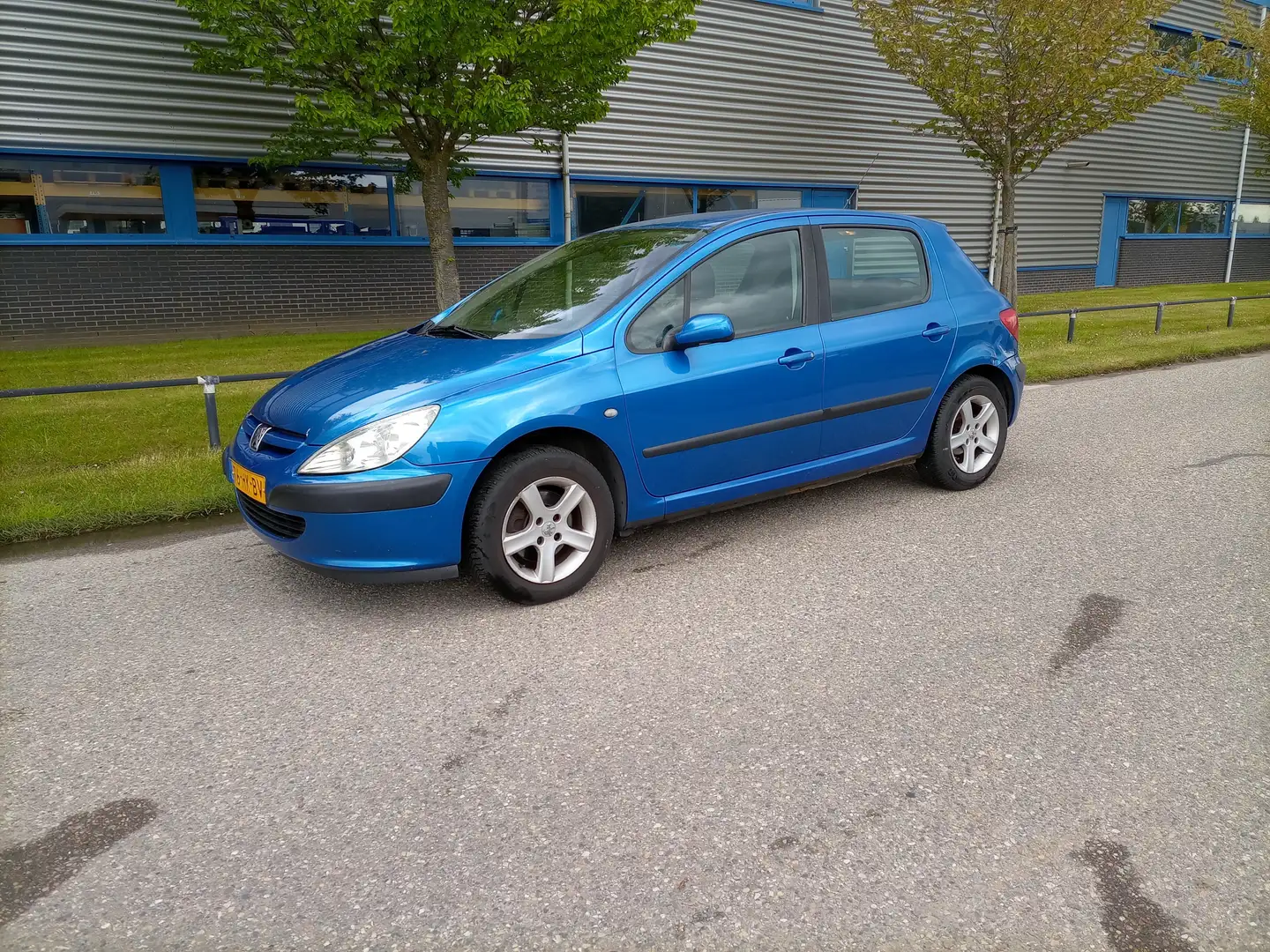Peugeot 307 307 1.6-16V XS Синій - 1