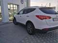 Hyundai SANTA FE Santa Fe III 2013 2.0 crdi Comfort 2wd Bianco - thumbnail 4