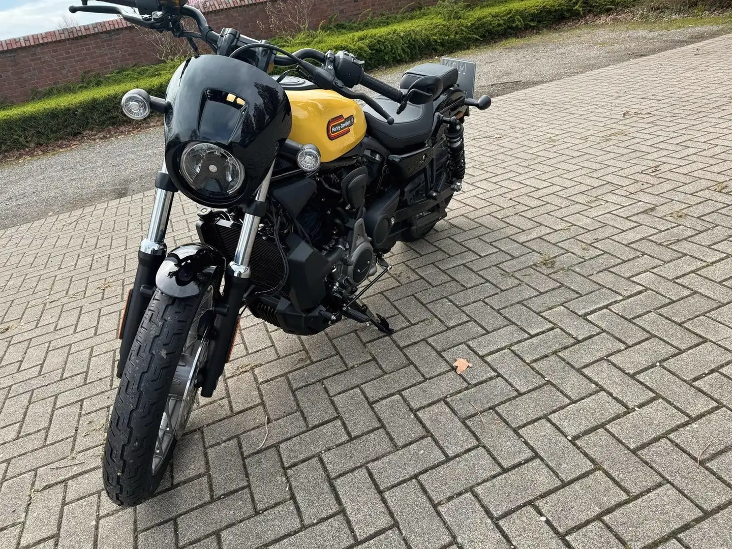 Harley-Davidson Sportster Nighster Special 975 Żółty - 1