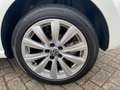 Volkswagen Polo 1.2 TSI Match Pano Parelmoermtlc Cruise Clima Wit - thumbnail 5