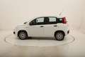 Fiat Panda Easy 1.3 Diesel 95CV Blanco - thumbnail 2