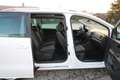 SEAT Alhambra Alhambra Executive 2,0 TDI CR Executive Weiß - thumbnail 14