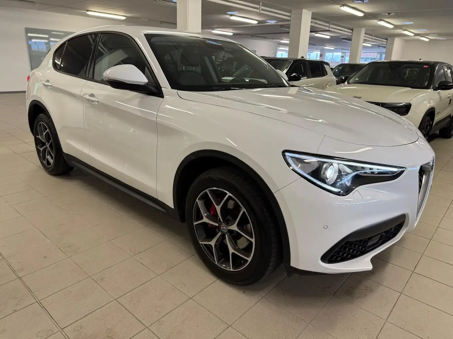Alfa Romeo Stelvio Stelvio 2.0 Turbo 200 CV AT8 Q4 Executive Bianco - 1