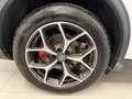 Alfa Romeo Stelvio Stelvio 2.0 Turbo 200 CV AT8 Q4 Executive Bianco - thumbnail 21