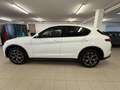 Alfa Romeo Stelvio Stelvio 2.0 Turbo 200 CV AT8 Q4 Executive Bianco - thumbnail 9