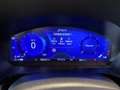 Ford Kuga 2.0 ecoblue ST-Line X awd 190cv auto Grigio - thumbnail 10