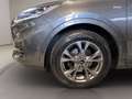 Ford Kuga 2.0 ecoblue ST-Line X awd 190cv auto Grigio - thumbnail 8
