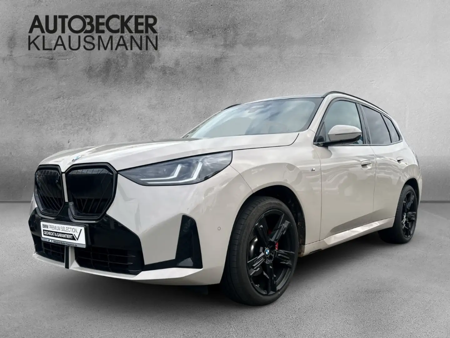 BMW X3 xDRIVE 20d *M SPORT PRO* LC PROF AHK 360°UPE:81.99 Gris - 1