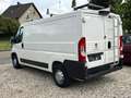 Peugeot Boxer Kastenwagen L2H1Lang/Klima/Eu6/Kamera/AHK Blanc - thumbnail 13