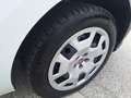 Fiat Doblo Doblò 1.6 MJT 120CV PL-TN Cargo Maxi  SX N°FS453 Bianco - thumbnail 11