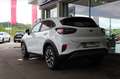 Ford Puma TITANIUM 125 PS Ecoboost/Benzin Mild-Hybrid (PR... Weiß - thumbnail 4