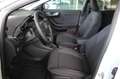 Ford Puma TITANIUM 125 PS Ecoboost/Benzin Mild-Hybrid (PR... Weiß - thumbnail 8