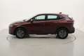 Nissan Qashqai MHEV Business 1.3 Mild Hybrid 140CV Rosso - thumbnail 2