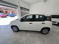 Fiat Panda 1.2 EASY 69 CV PARI AL NUOVO 5 POSTI INTROVABILE! Blanc - thumbnail 5