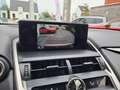 Lexus NX 300h Hybride - Euro 6c *GPS*Camera Szürke - thumbnail 10