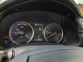 Lexus NX 300h Hybride - Euro 6c *GPS*Camera Šedá - thumbnail 12
